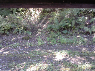 長野県菅平高原 ゆたか山荘 南側 2025/10/08 12:15