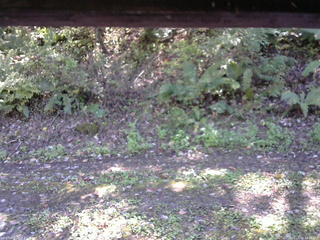 長野県菅平高原 ゆたか山荘 南側 2025/10/08 12:30