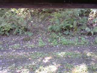 長野県菅平高原 ゆたか山荘 南側 2025/10/08 12:45