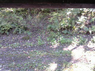 長野県菅平高原 ゆたか山荘 南側 2025/10/08 13:00