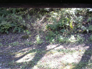 長野県菅平高原 ゆたか山荘 南側 2025/10/08 13:15