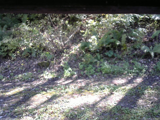 長野県菅平高原 ゆたか山荘 南側 2025/10/08 13:30