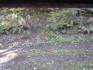 長野県菅平高原 ゆたか山荘 南側 2025/10/08 13:45