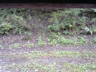 長野県菅平高原 ゆたか山荘 南側 2025/10/08 14:00