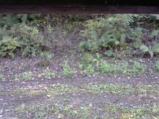 長野県菅平高原 ゆたか山荘 南側 2025/10/08 14:15