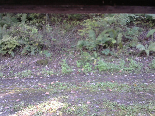 長野県菅平高原 ゆたか山荘 南側 2025/10/08 14:30