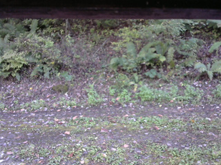 長野県菅平高原 ゆたか山荘 南側 2025/10/08 14:45