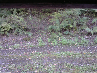 長野県菅平高原 ゆたか山荘 南側 2025/10/08 15:00