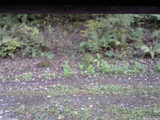 長野県菅平高原 ゆたか山荘 南側 2025/10/08 15:15