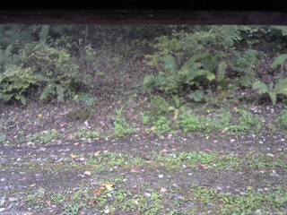 長野県菅平高原 ゆたか山荘 南側 2025/10/08 16:15