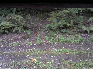 長野県菅平高原 ゆたか山荘 南側 2025/10/08 16:45