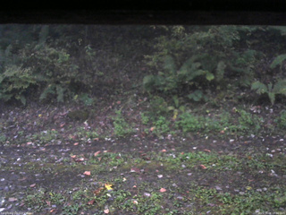 長野県菅平高原 ゆたか山荘 南側 2025/10/08 17:00