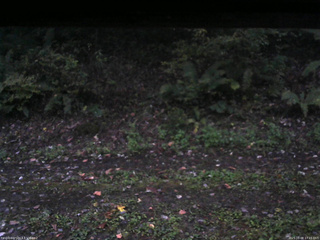 長野県菅平高原 ゆたか山荘 南側 2025/10/08 17:15