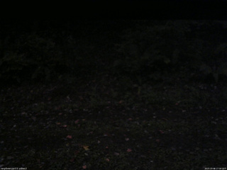 長野県菅平高原 ゆたか山荘 南側 2025/10/08 17:30