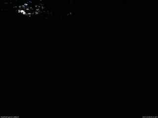 長野県菅平高原 ゆたか山荘 東側(坂下) 2025/10/08 05:15