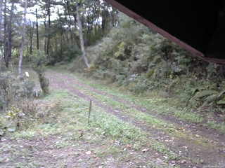 長野県菅平高原 ゆたか山荘 東側(坂下) 2025/10/08 08:15