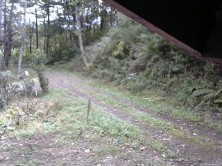 長野県菅平高原 ゆたか山荘 東側(坂下) 2025/10/08 08:45