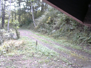 長野県菅平高原 ゆたか山荘 東側(坂下) 2025/10/08 09:00