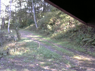 長野県菅平高原 ゆたか山荘 東側(坂下) 2025/10/08 13:30