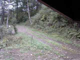 長野県菅平高原 ゆたか山荘 東側(坂下) 2025/10/08 16:00