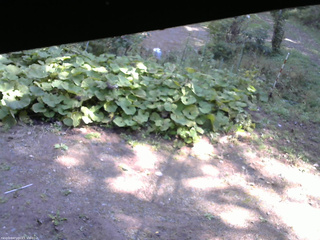 長野県菅平高原 ゆたか山荘 駐車場 2025/10/08 11:15