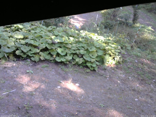 長野県菅平高原 ゆたか山荘 駐車場 2025/10/08 12:45
