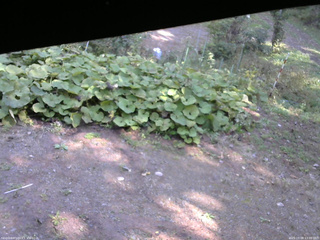 長野県菅平高原 ゆたか山荘 駐車場 2025/10/08 13:00