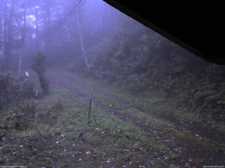 長野県菅平高原 ゆたか山荘 東側(坂下) 2025/10/09 06:00