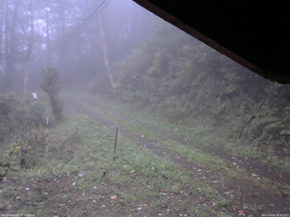 長野県菅平高原 ゆたか山荘 東側(坂下) 2025/10/09 06:30