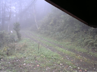 長野県菅平高原 ゆたか山荘 東側(坂下) 2025/10/09 10:15