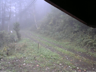 長野県菅平高原 ゆたか山荘 東側(坂下) 2025/10/09 10:30