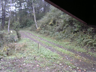 長野県菅平高原 ゆたか山荘 東側(坂下) 2025/10/09 10:45