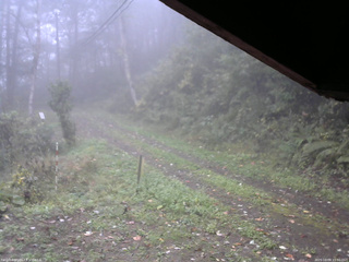長野県菅平高原 ゆたか山荘 東側(坂下) 2025/10/09 11:00