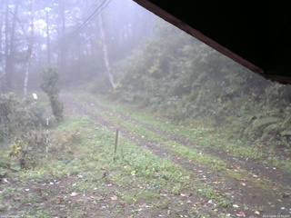 長野県菅平高原 ゆたか山荘 東側(坂下) 2025/10/09 11:30