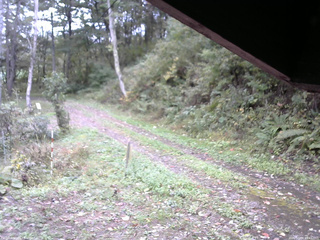 長野県菅平高原 ゆたか山荘 東側(坂下) 2025/10/09 14:45