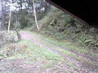 長野県菅平高原 ゆたか山荘 東側(坂下) 2025/10/09 15:15