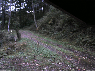 長野県菅平高原 ゆたか山荘 東側(坂下) 2025/10/09 17:15