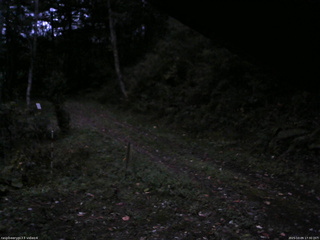 長野県菅平高原 ゆたか山荘 東側(坂下) 2025/10/09 17:30