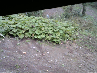 長野県菅平高原 ゆたか山荘 駐車場 2025/10/09 07:15
