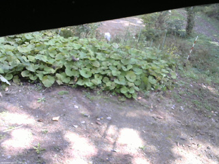 長野県菅平高原 ゆたか山荘 駐車場 2025/10/09 11:00