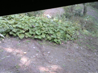 長野県菅平高原 ゆたか山荘 駐車場 2025/10/09 12:15