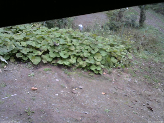 長野県菅平高原 ゆたか山荘 駐車場 2025/10/09 16:45