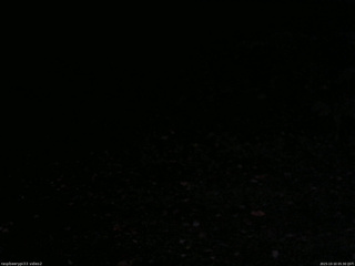 長野県菅平高原 ゆたか山荘 南側 2025/10/10 05:30