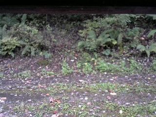 長野県菅平高原 ゆたか山荘 南側 2025/10/10 06:00