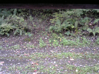 長野県菅平高原 ゆたか山荘 南側 2025/10/10 06:15