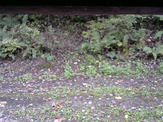 長野県菅平高原 ゆたか山荘 南側 2025/10/10 06:30