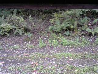 長野県菅平高原 ゆたか山荘 南側 2025/10/10 07:15