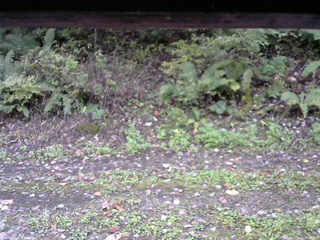 長野県菅平高原 ゆたか山荘 南側 2025/10/10 07:45