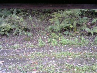 長野県菅平高原 ゆたか山荘 南側 2025/10/10 08:00