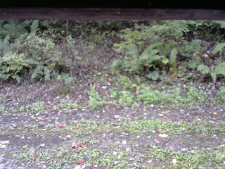 長野県菅平高原 ゆたか山荘 南側 2025/10/10 08:15